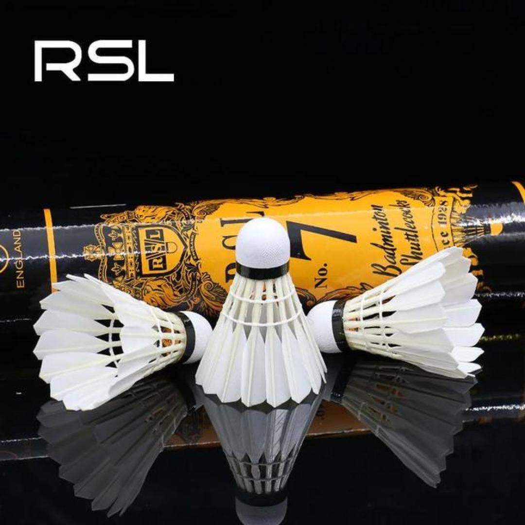 风险与挑战 风险与挑战