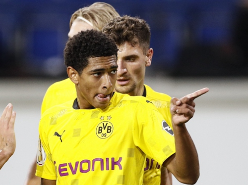 雨林出生的 雨林出生的